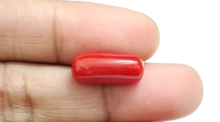 red-coral-1