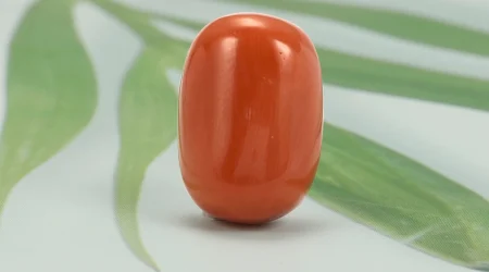 red-coral-3